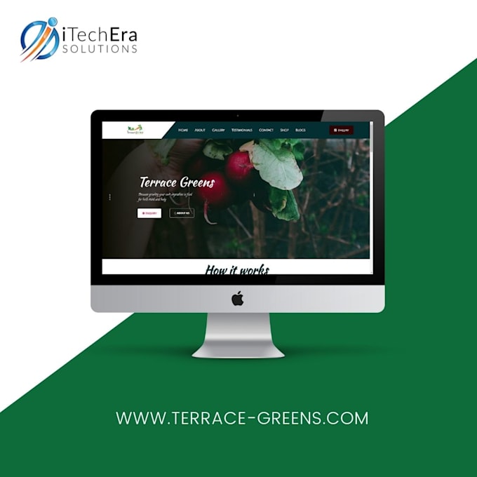 develop and design modern wordpress website
