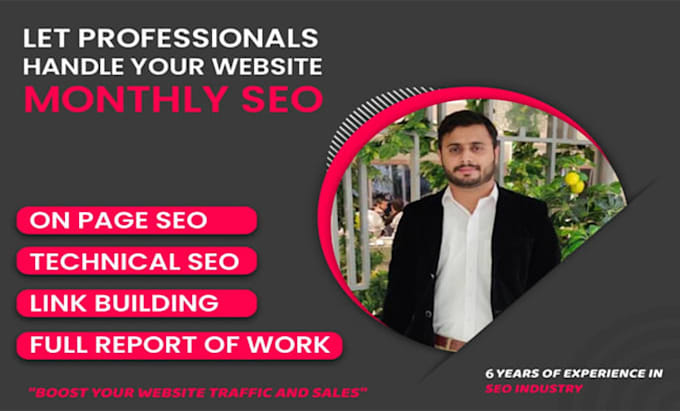 provide complete monthly seo services, on page, off page, high quality backlinks