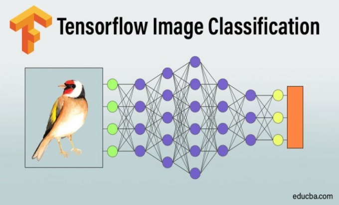 Create image classification model using tensorflow by Horair_ahmad | Fiverr