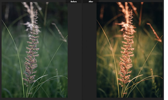 create adobe lightroom presets for you