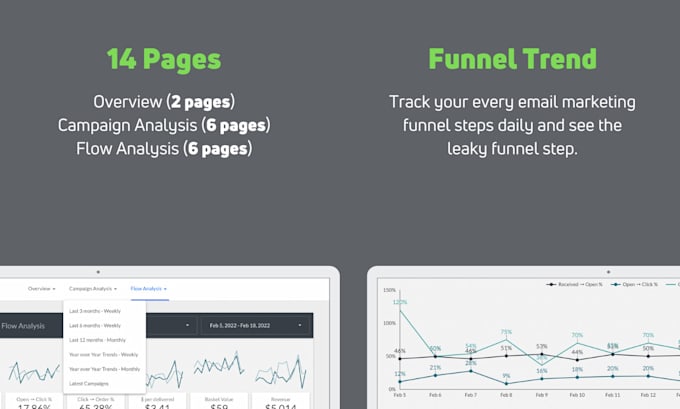 provide klaviyo looker studio dashboard template
