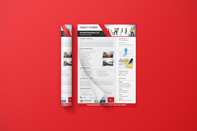 design government capability statement, one pager flyer