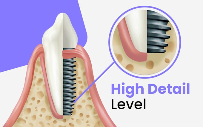 draw professional anatomy illustrations