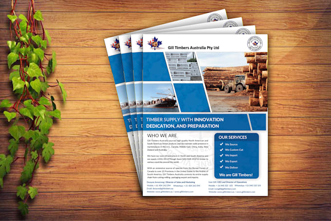 design business flyers, brochures, and leaflets