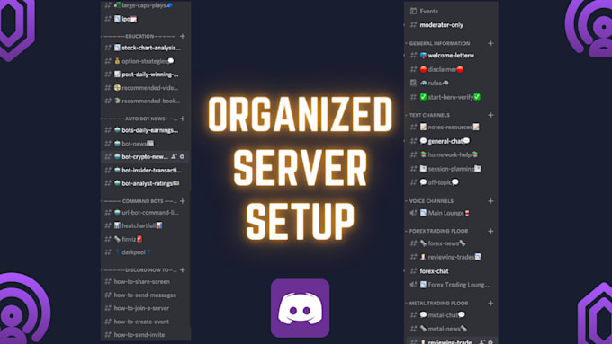 Create you a professional discord community server by Stapdc | Fiverr