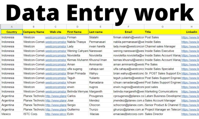 do excel data entry, web research, email list, copy paste, linkedin leads