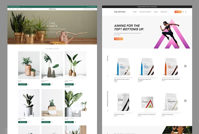 design, build and launch a modern, automated shopify store, website