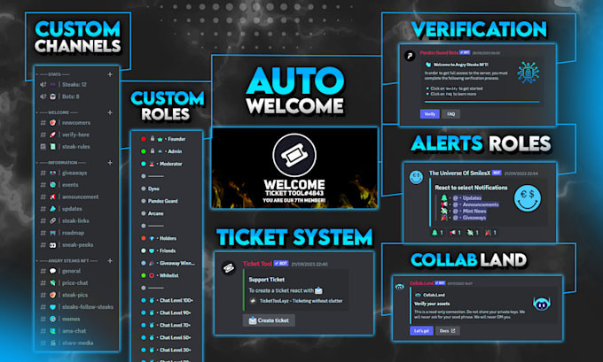 setup a professional nft discord server