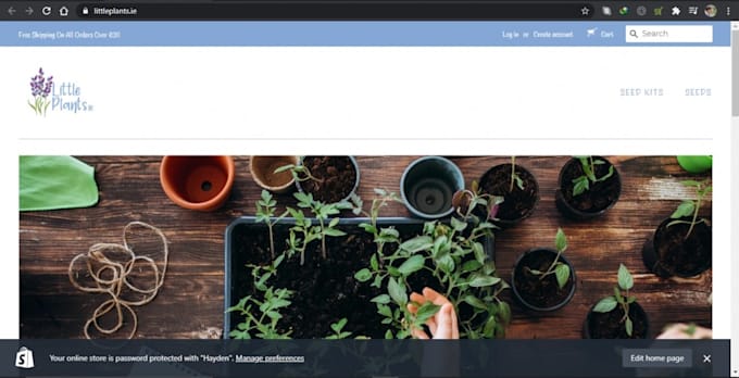 design or redesign a shopify store