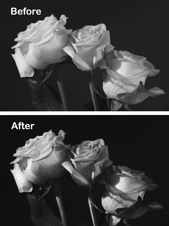 Edit your black and white or color photos by Ignaci0_ Fiverr