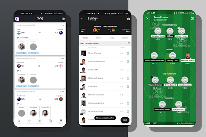 high quality fantasy cricket app  dream11