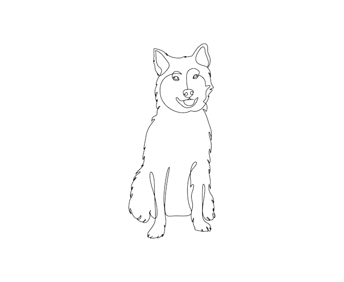 draw continuous one line art from your pet portrait  24 hours