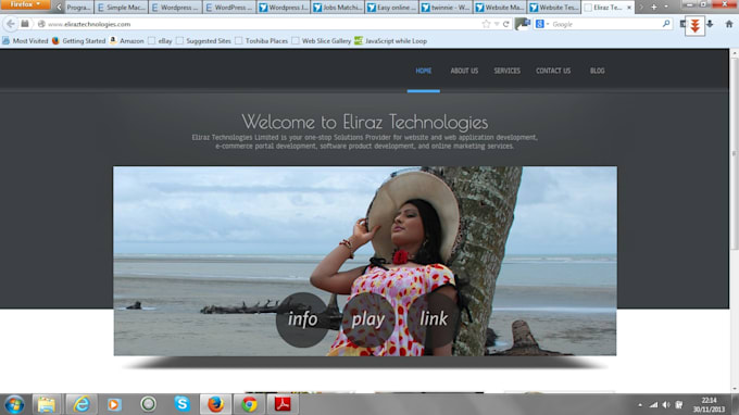 create an excellent wordpress website or blog
