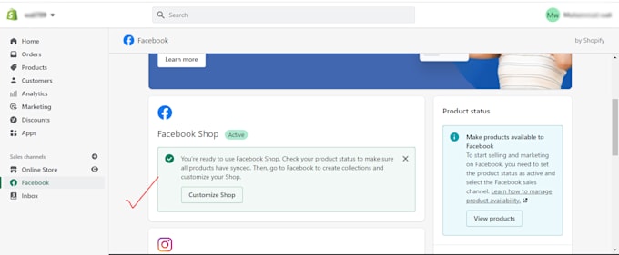 fix setup facebook, instagram, tiktok connect with shopify