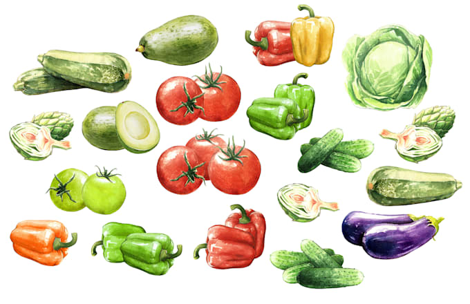 make digital watercolor for menu or website