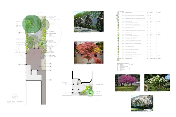 design your front yard