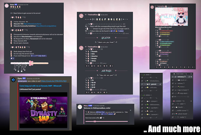 fully set up a gaming, anime, twitch or youtube discord