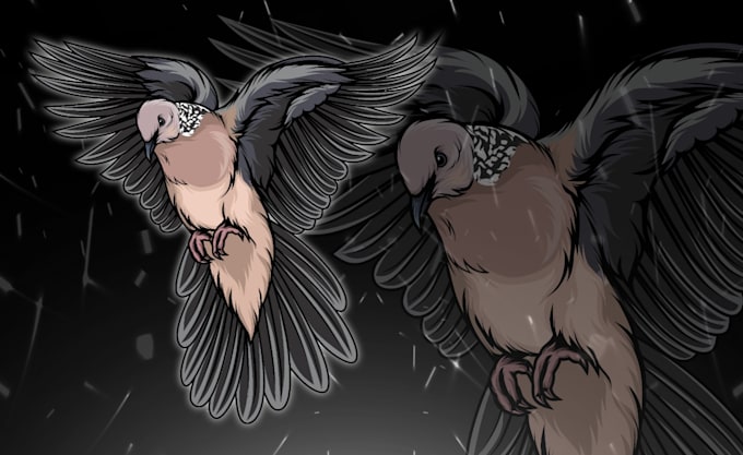make a sketch of your animal into a vector