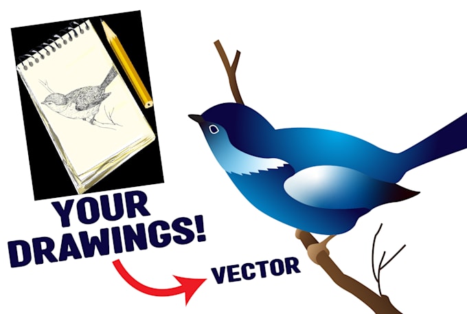 turn image, sketch or logo into high quality vector