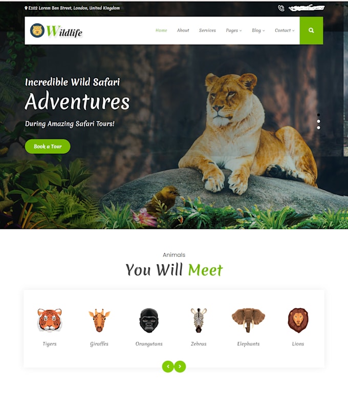 create  wordpress website according to your needs