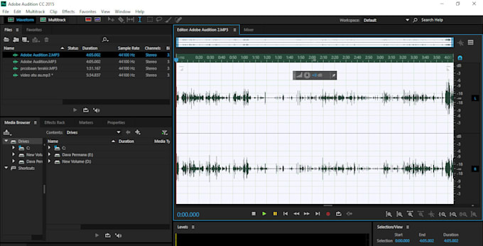 do professional audio editing and noise reduction
