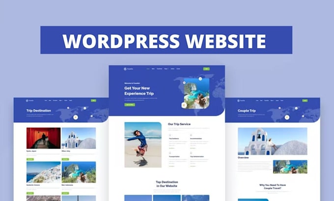 do responsive wordpress website design and website customize