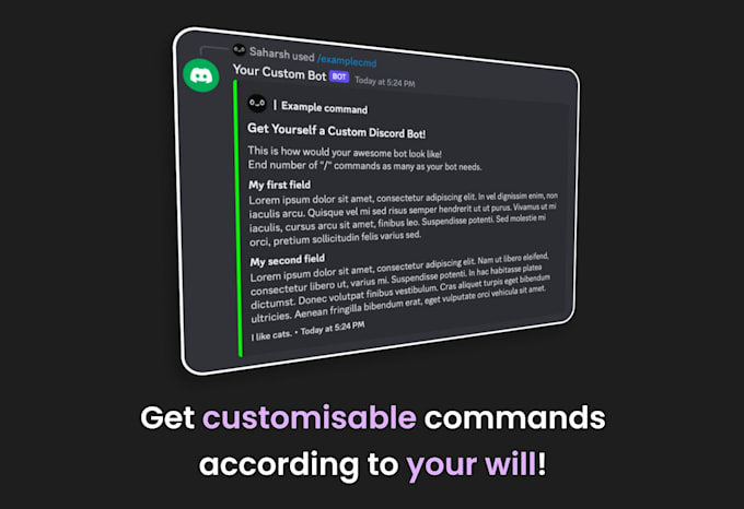code a custom discord bot within 24h