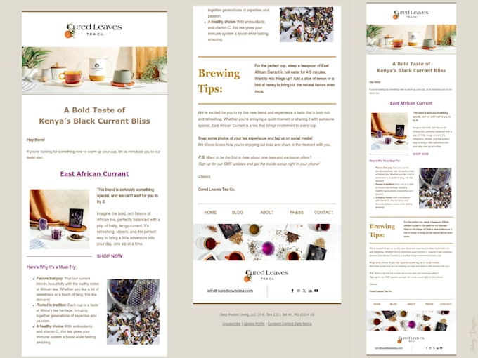 design and optimize constant contact email campaigns, mailchimp, zoho USA seller