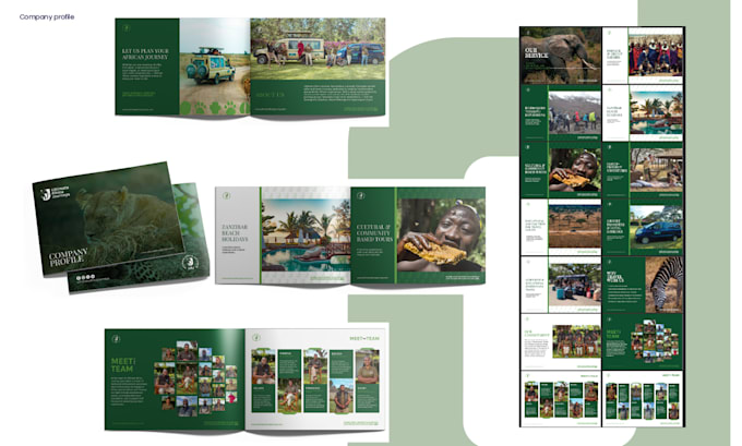 design a modern company profile, catalog, or brochure