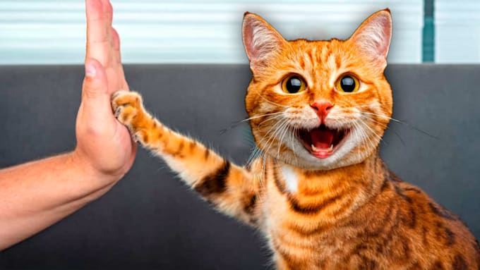 design a amazing youtube thumbnail super fast