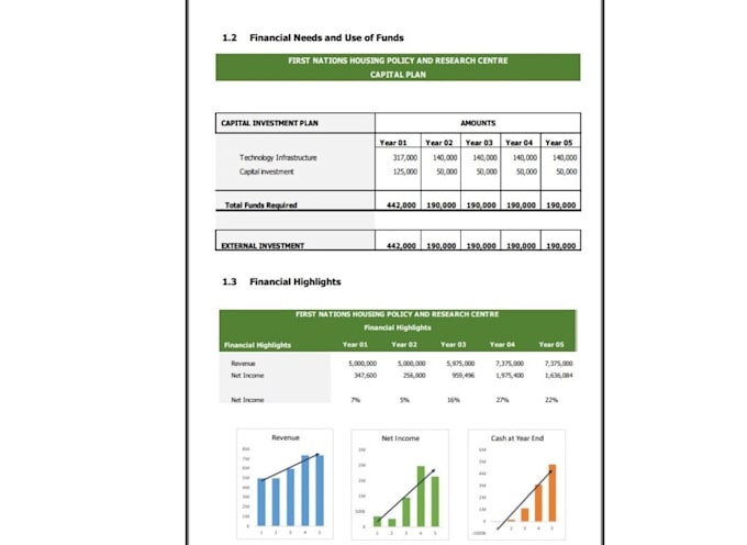 prepare financial projections, forecasting and business plan