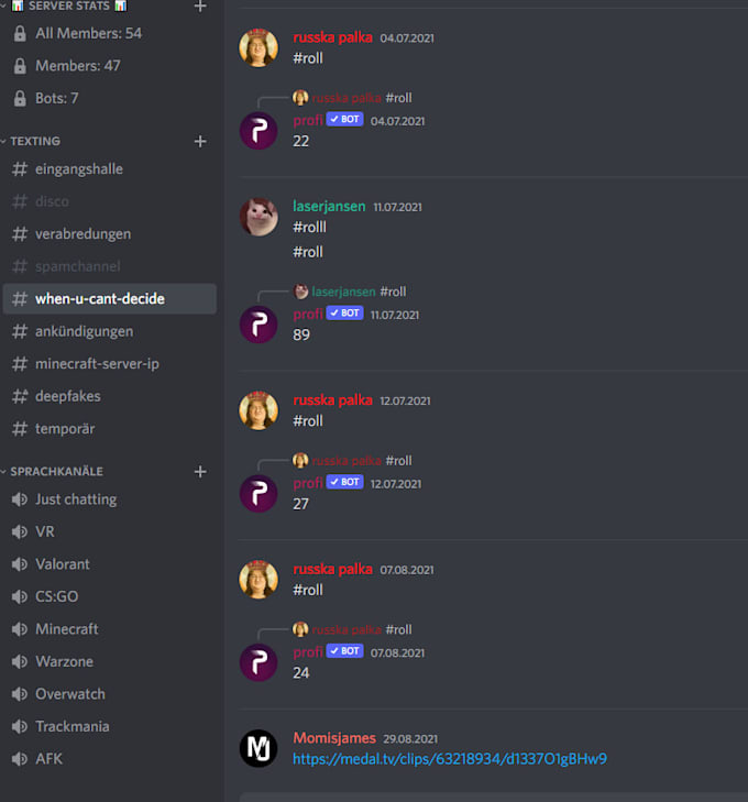 setup your professional discord