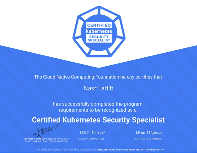 integrate the devops cloud into your services with an expert