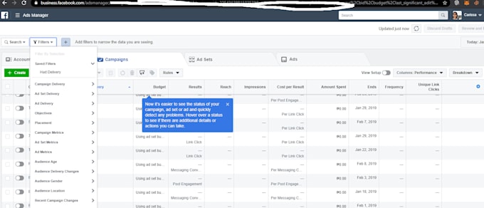 setup and manage your facebook and instagram ads campaign, for leads and sales