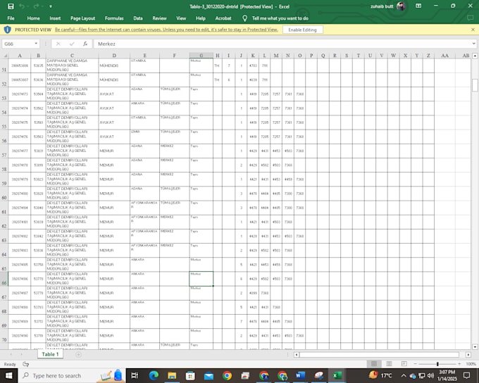 do advanced web scraping, automation, and python scripting for any website
