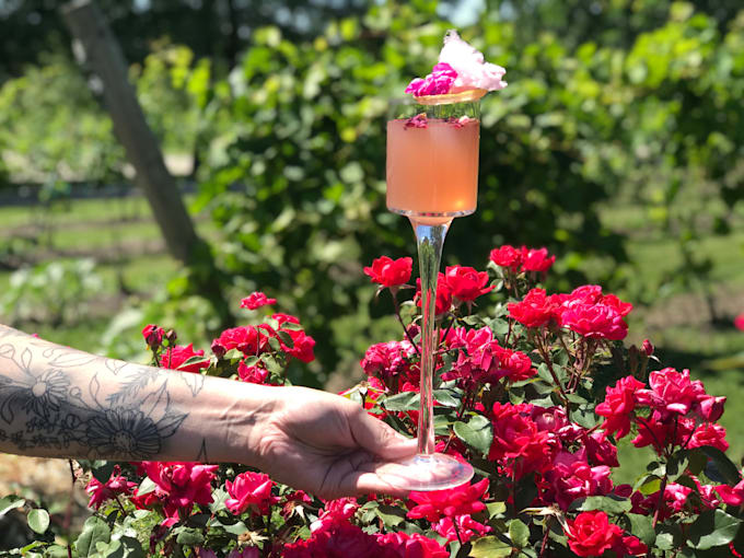 create professional cocktails that build your brand