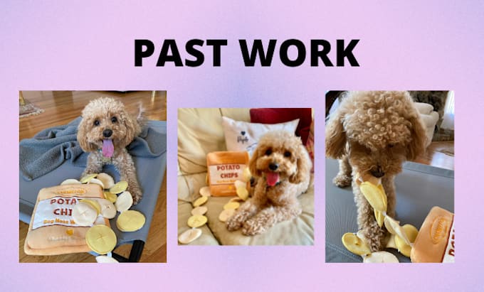 have my dog model your products