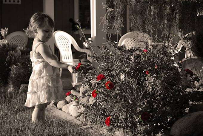 create a custom Facebook Cover photo