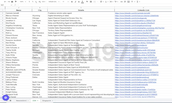 be your data entry, virtual assistant, copy paste and lead generation expert