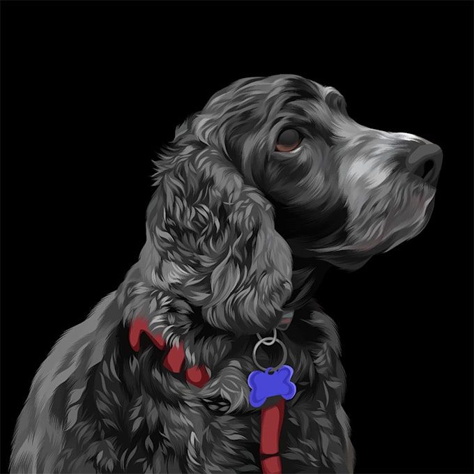 draw pet portrait illustration