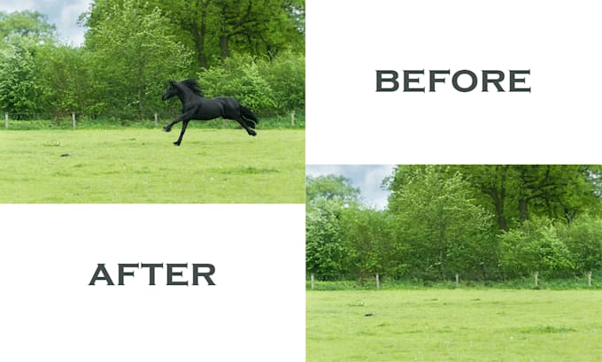 remove any unwanted object or subject form your photos