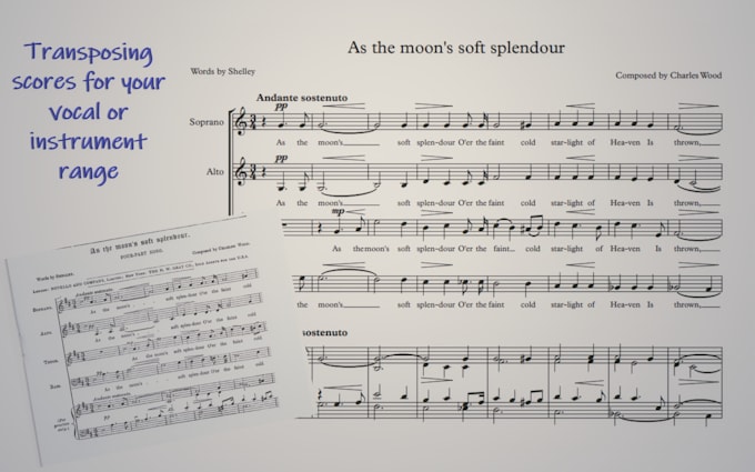 transpose music scores for your vocal or instrument range