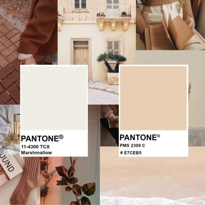 Create a mood board with color references according to topic by Manal ...