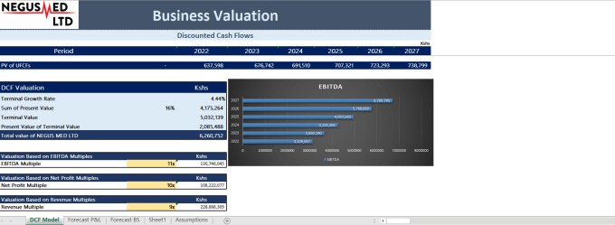 do financial analysis, forecasting, ratio analysis, budgeting, irr, npv