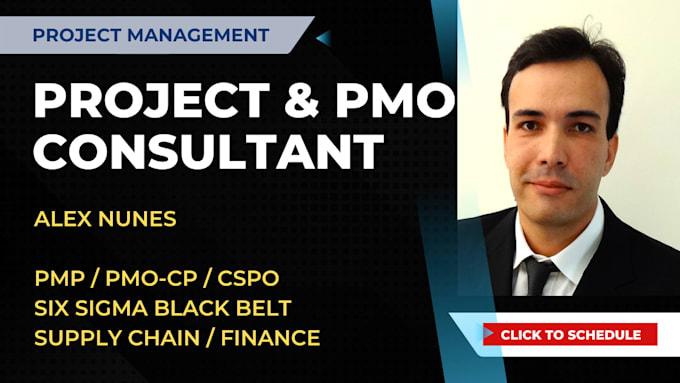 provide expert project and pmo consulting