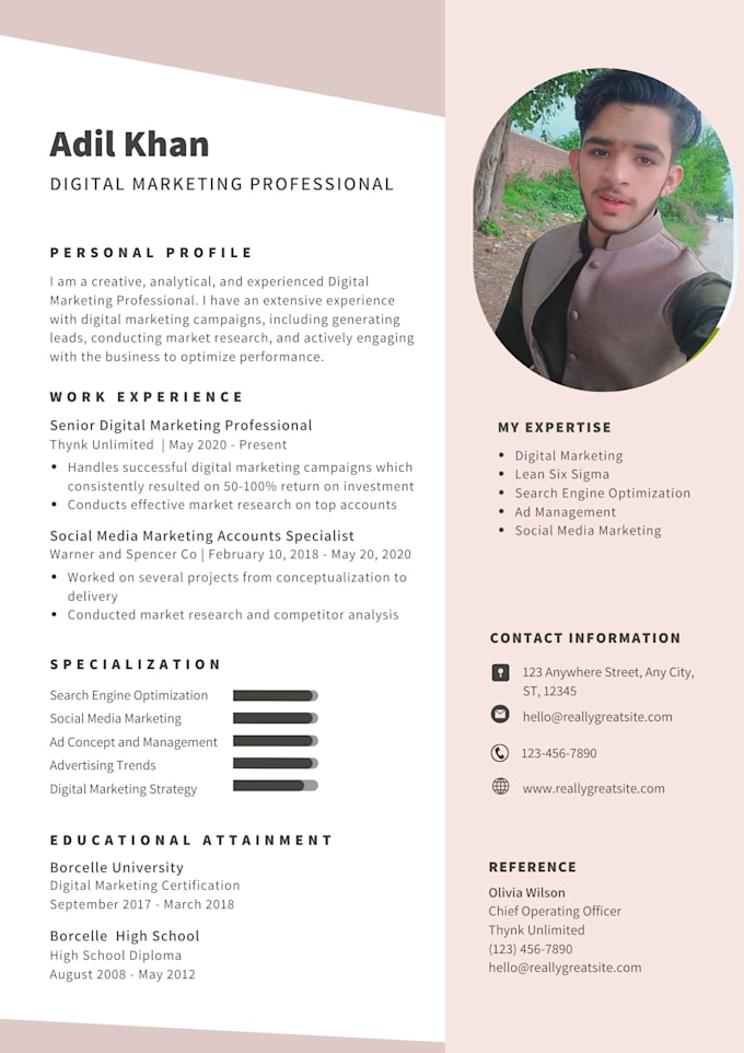 create a professional CV or resume