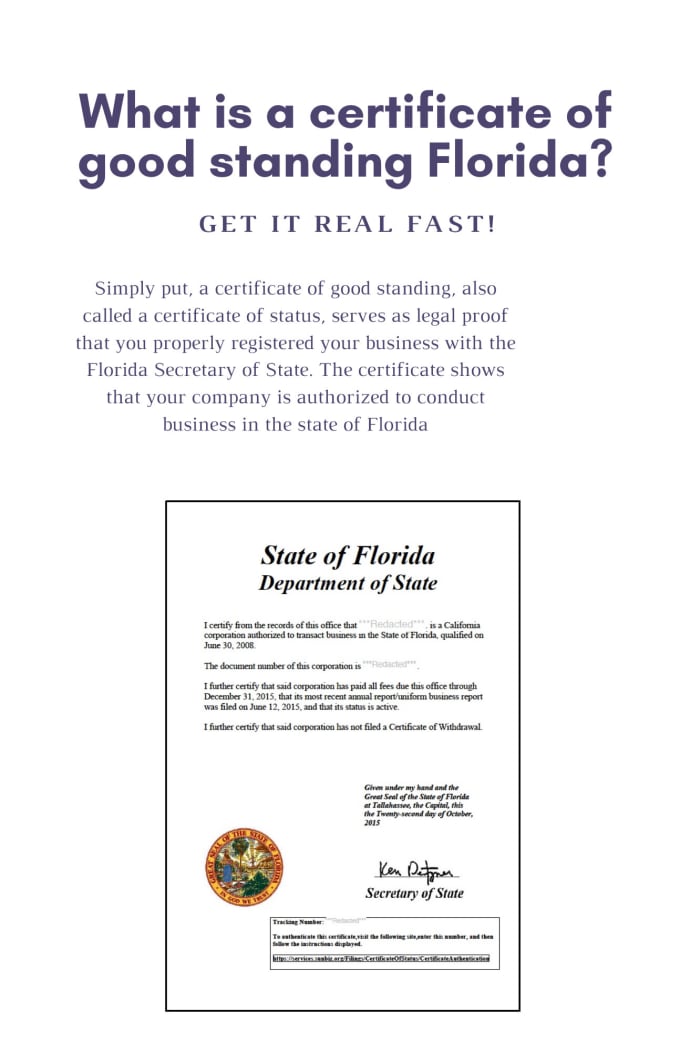 Certificate good standing florida and new mexico by Melinarocio Fiverr