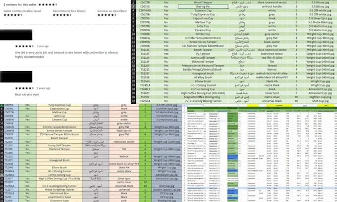be your virtual assistant for data entry, data mining, copy paste, web research