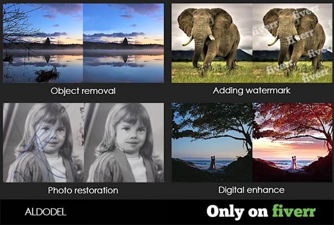 do professional photoshop retouch and background removal