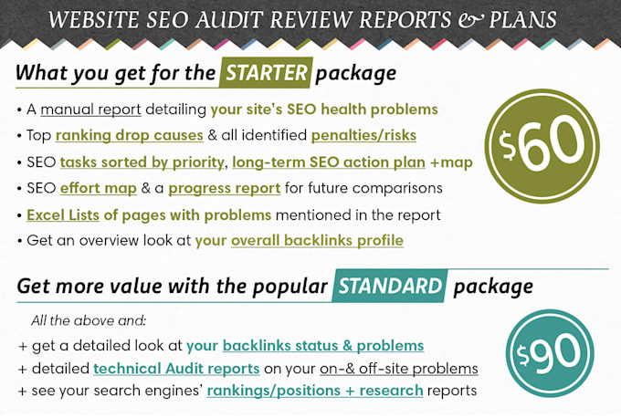 create an expert SEO audit report with action plan and penalty checks